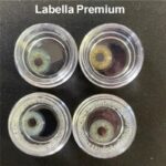 لنز رنگی لابلا سری پرمیوم Lábella permium