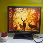 واردکننده مانیتور19 مربع dell- ips