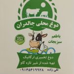 تولیدکننده دوغ محلی چالدران