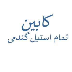 کابین تمام استیل گندمی (نقره ای)