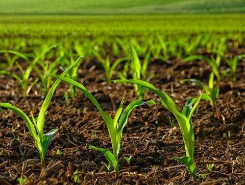 شرکت مهندسی آوای گل افشان امروز