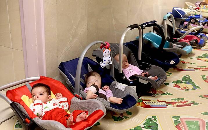 بهزیستی پروشگاه عمید صفوی