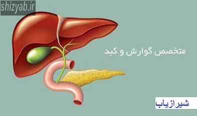دکتر امید شادکام