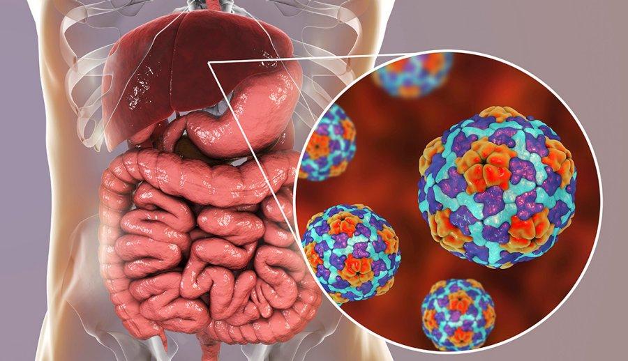 کلینیک هپاتیت جهاد دانشگاهی