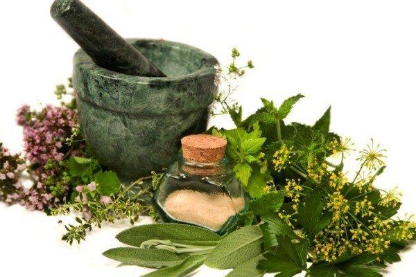 بهیار دام سنندج