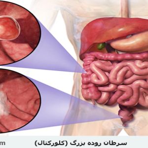 دکتر کریم دربانیان