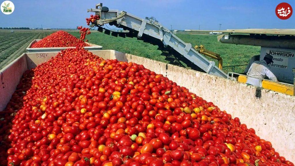 شرکت ۱ و ۱ حوزه پخش بوشهر