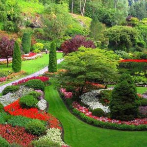 شرکت هامون گستر اصفهان
