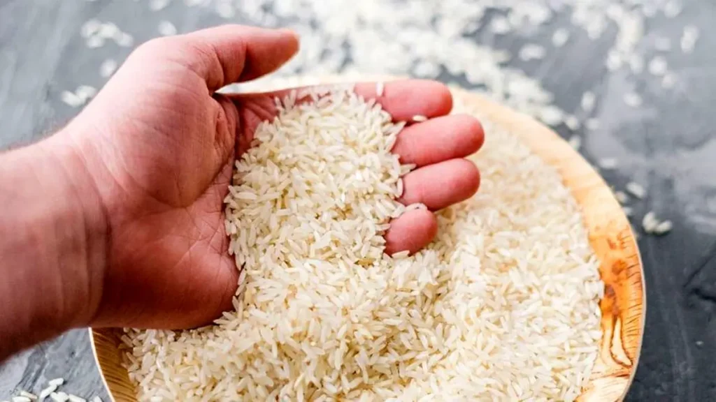 شهر برنج فروشگاه