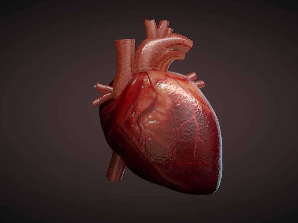 دکتر فریدون شجاعی طباطبایی