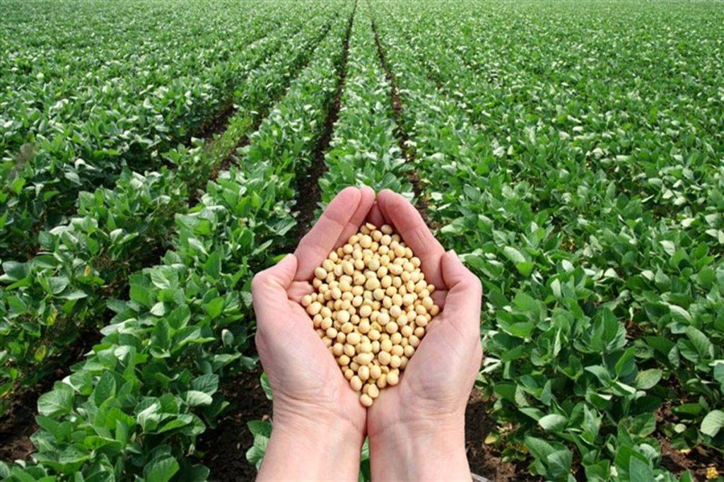 پروتئین گیاهی صفادشت