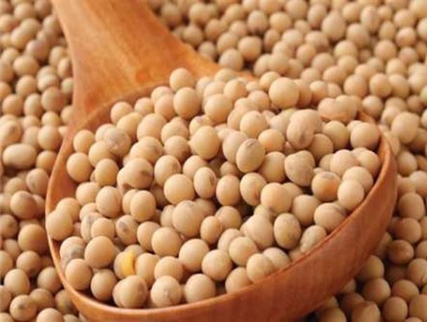 فروشگاه درریزان باقری