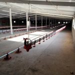 تجهیز صفرتاصد مرغداری با بهترین کیفیت