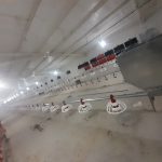 تجهیز صفرتاصد مرغداری با بهترین کیفیت