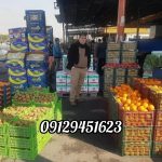 انگور شانی دیم سردشت میوه میوهای چهار فصل تالار مجالس جشن تولد عروسی مراسم