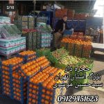 انگور شانی دیم سردشت میوه میوهای چهار فصل تالار مجالس جشن تولد عروسی مراسم